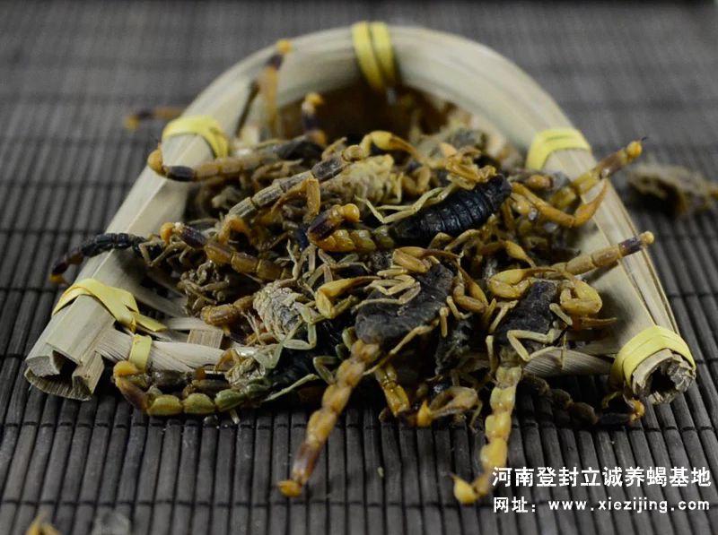 干蝎產品