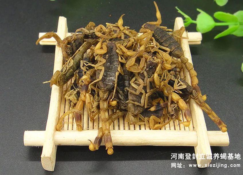 干蝎產品
