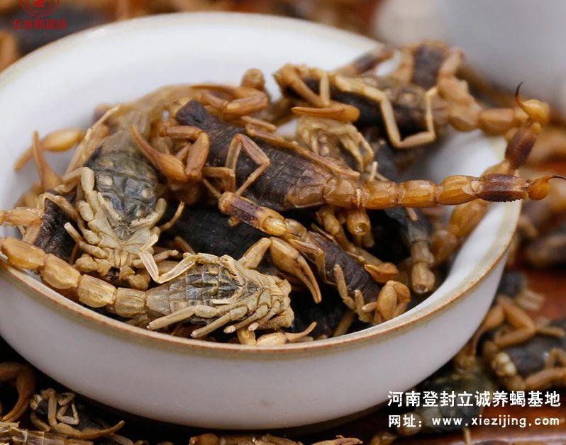干蝎產品