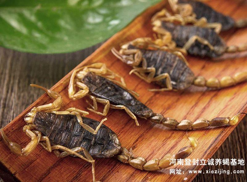 干蝎產品