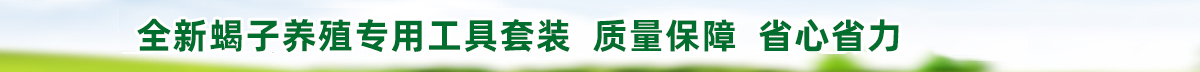 全新蝎子養殖專用工具套裝，質量保障，省心省力