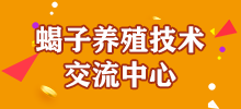 蝎子養殖技術交流中心